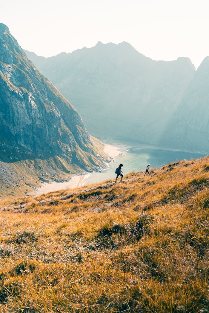 marche sur le mont ryten face a kvalvika beach dans les lofoten 14716179